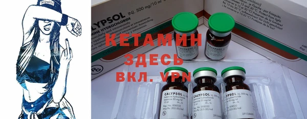 индика Новокубанск