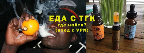 индика Новокубанск