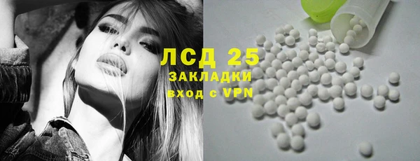 индика Новокубанск
