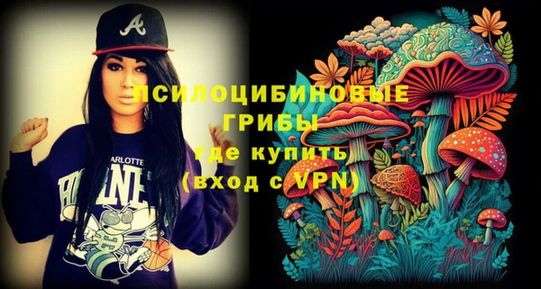 герыч Новозыбков