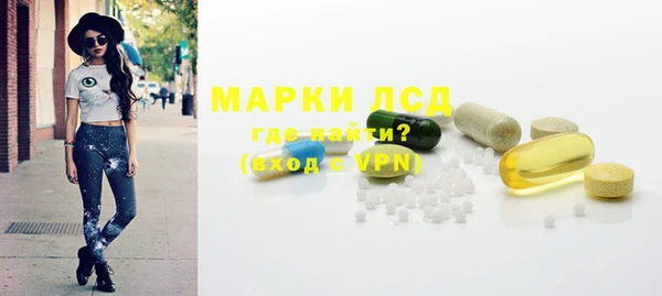 индика Новокубанск
