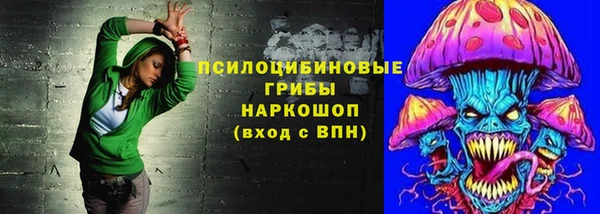 индика Новокубанск
